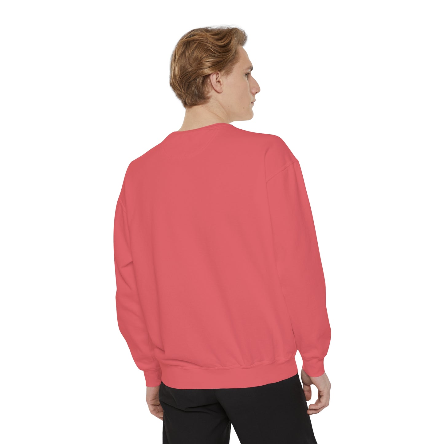 Unisex Garment-Dyed Elon Musk Fake Heroes Dogecoin Sweatshirt